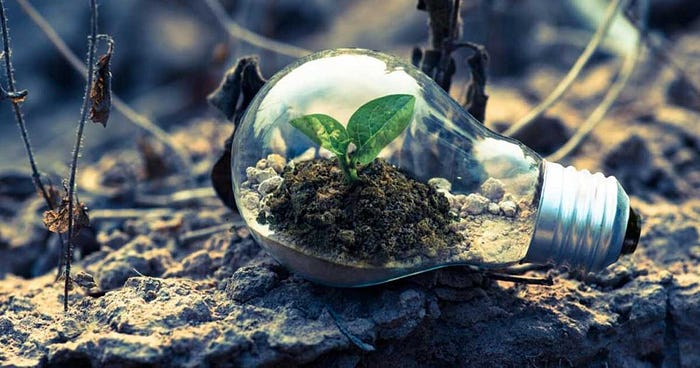 Social innovation: The people and planet economy