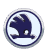 skoda icon