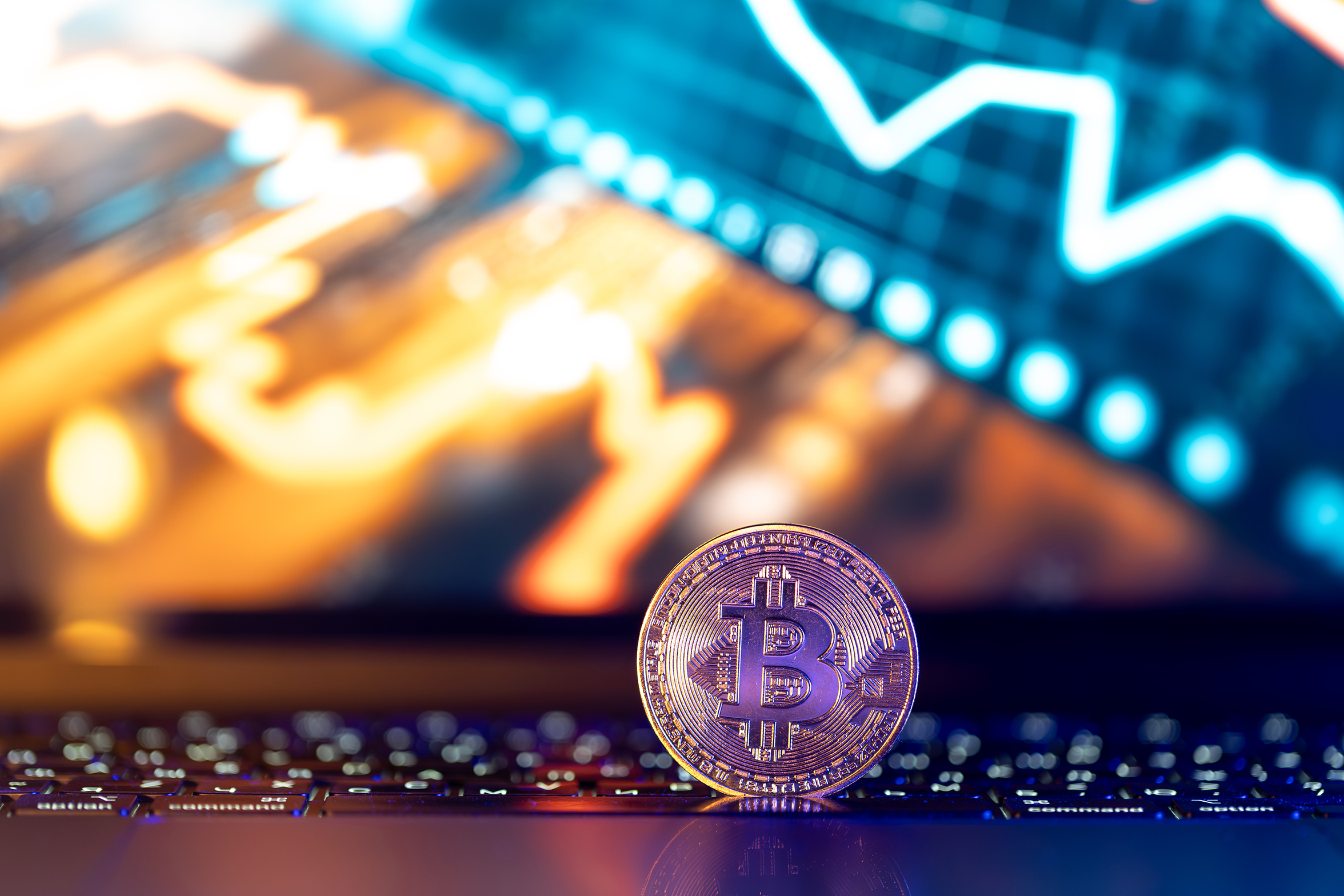 Celebrating Bitcoin hitting new highs 