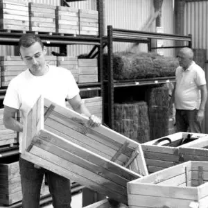 A shareholders agreement addresses the essential protections and processes your business needs