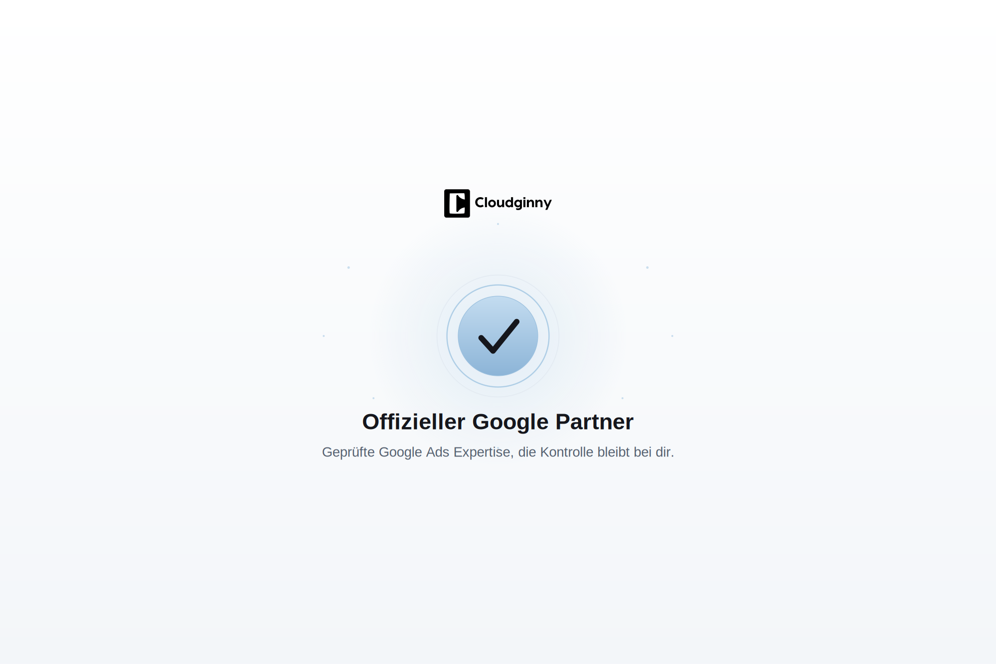 Cloudginny Google Partner