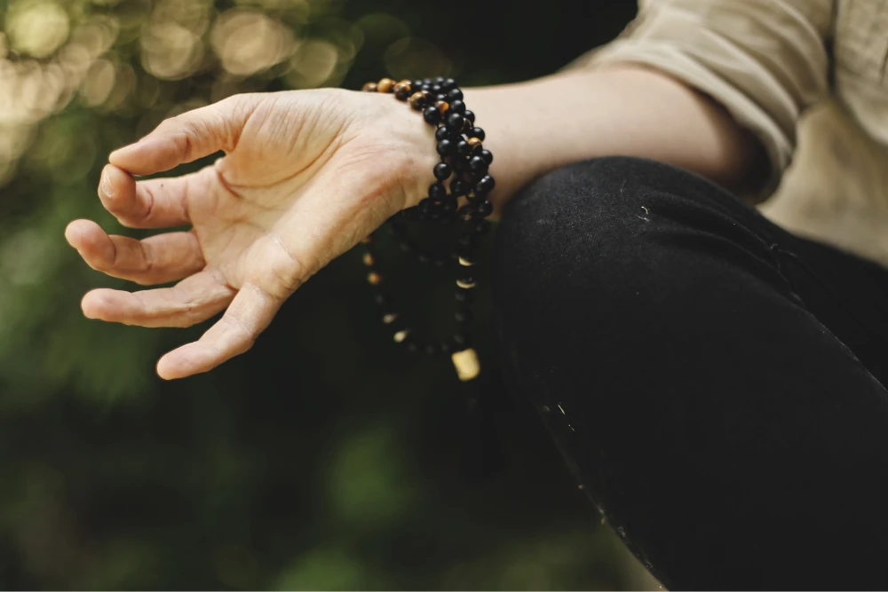 Koshas and Psychedelics