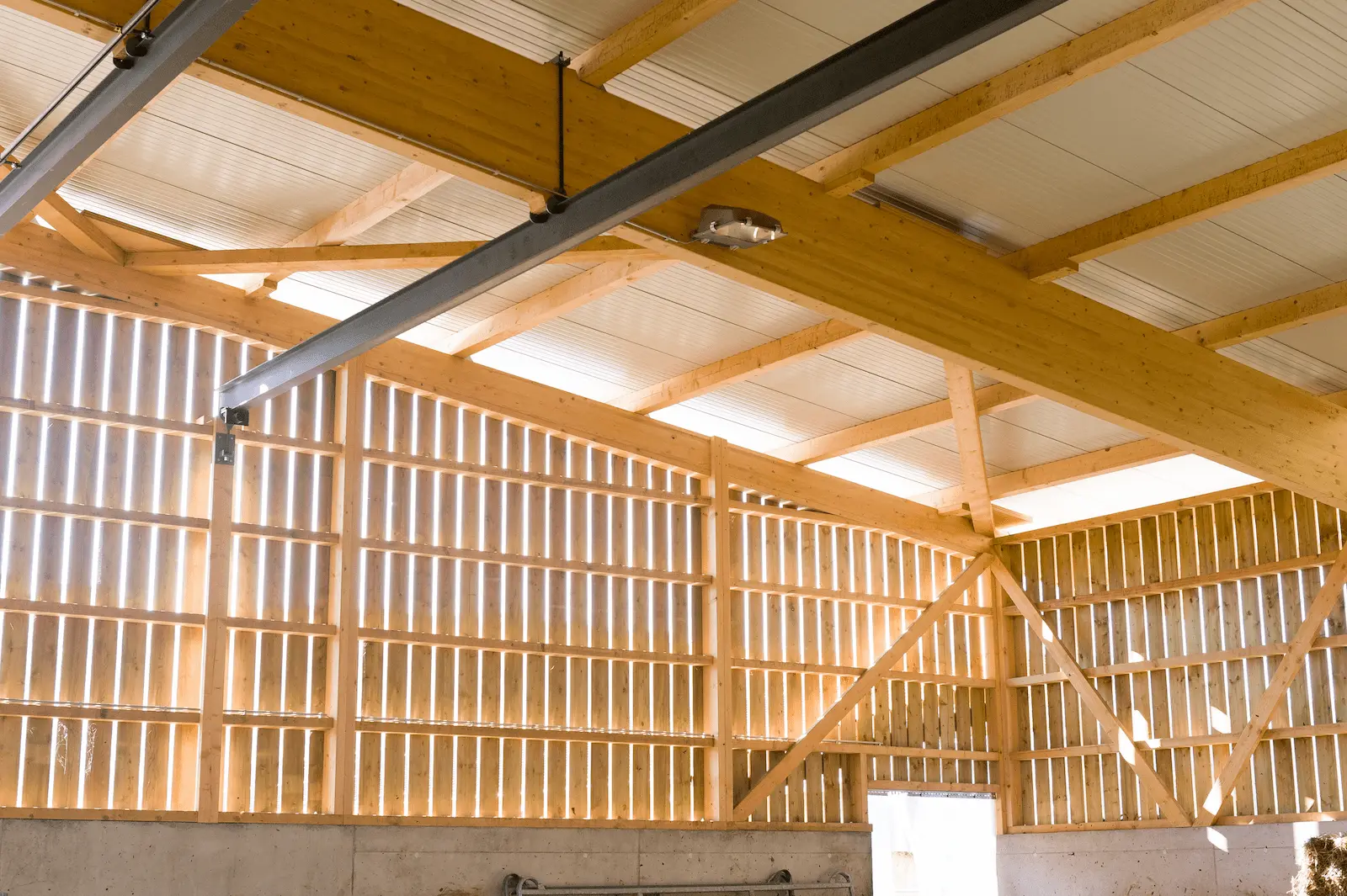 Blick auf die Holzdachkonstruktion mit Stahlträgern im neuen landwirtschaftlichen Gebäude in Rietheim.
