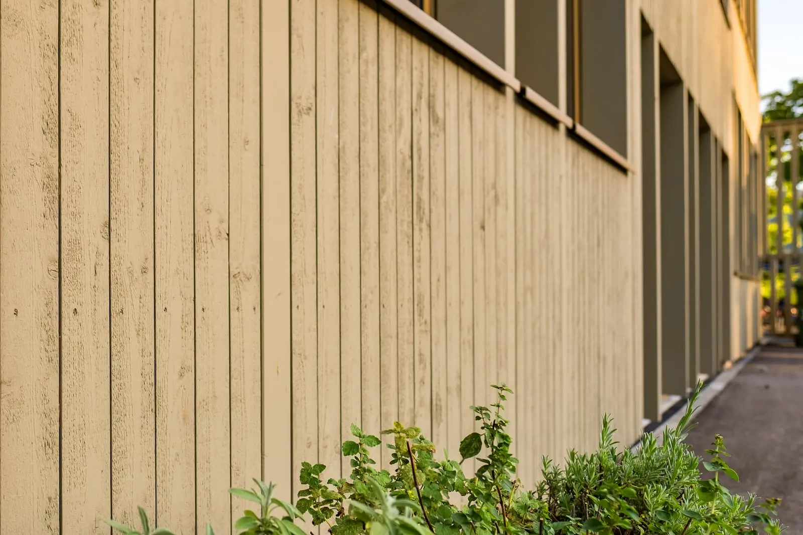 Detailaufnahme der stehenden Holzschalung mit Nut- und Kamm-Verbindung sowie Keim-Farbbeschichtung