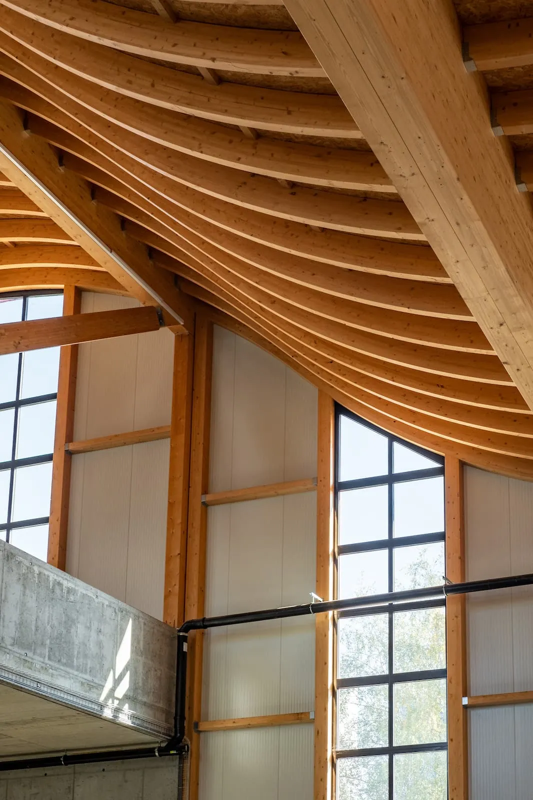 Innenansicht Hallendach mit gebogenen Holzbindern und Glasfassade