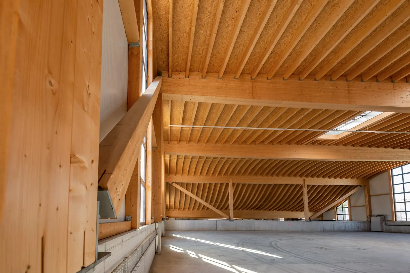 Innenansicht Hallendach mit gebogener Holzkonstruktion