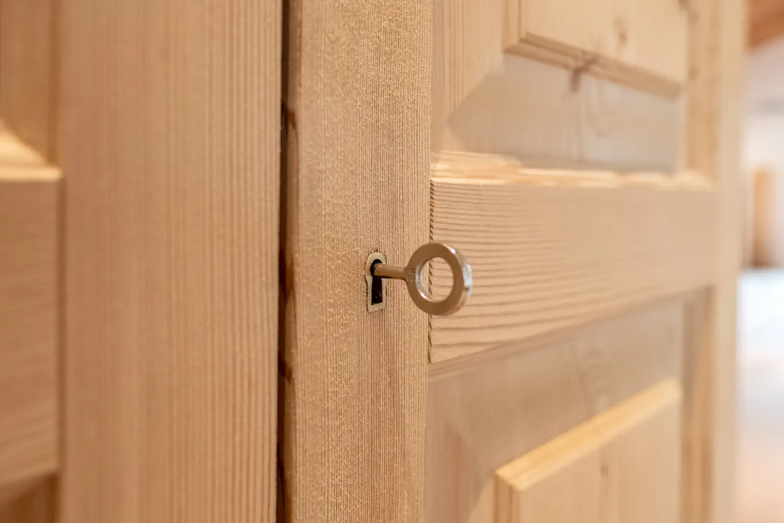 Detailaufnahme eines Einbauschranks aus Massivholz mit klassischer Rahmentür und sichtbarer Holzstruktur.