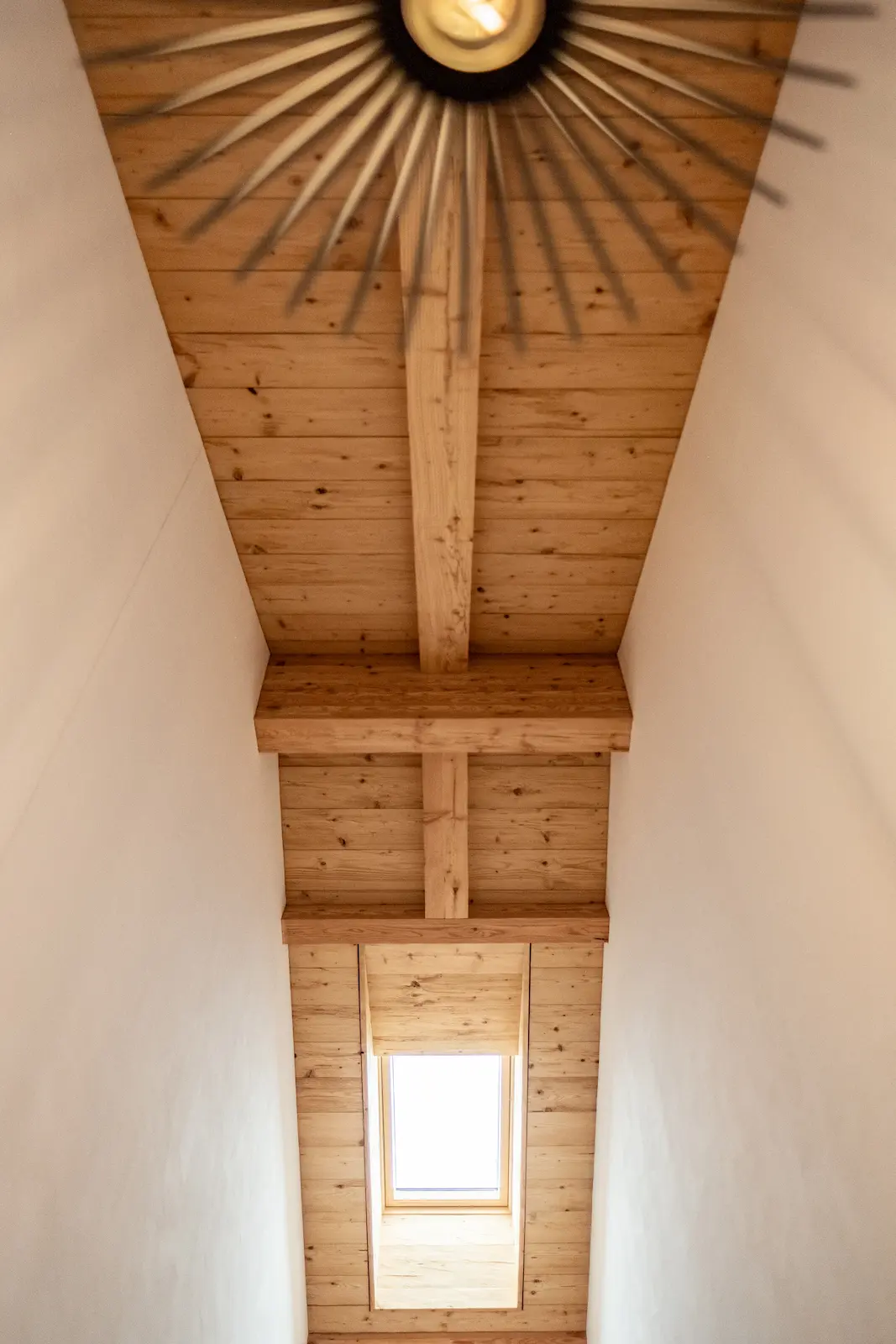 Detailaufnahme einer sichtbaren Lärchendecke mit Dachfenster.