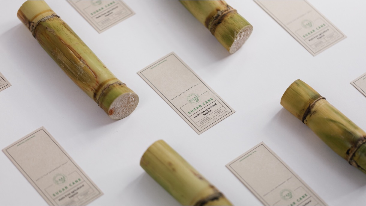 Bamboo stems laid out with small printed care labels
