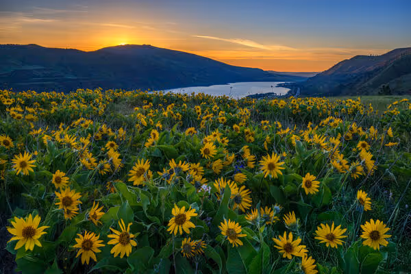 Aishwarya – Hatha Yoga in Nürnberg