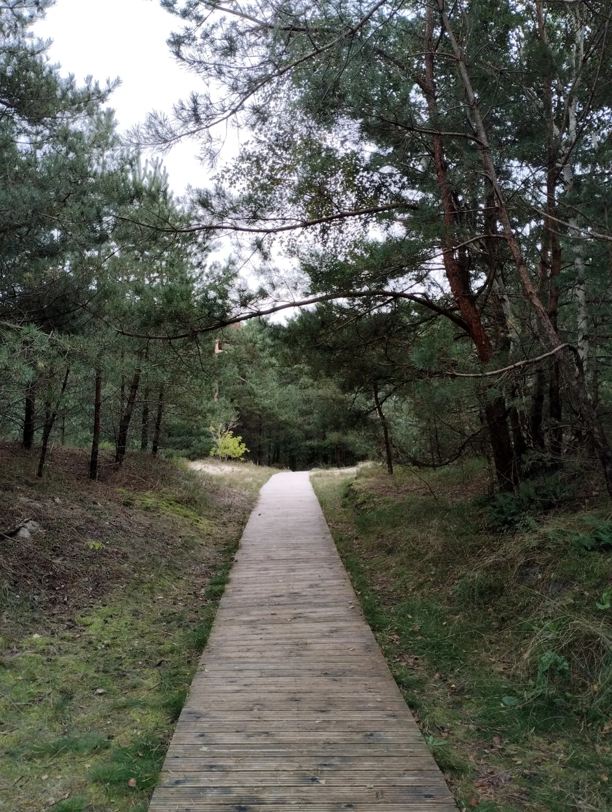 Gaya – Yoga & Health Coach in Kaunas