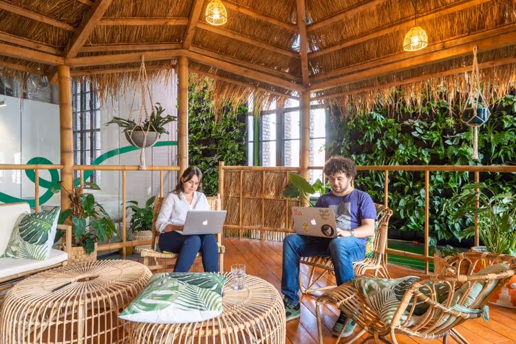 Amazon Jungle: The meeting room that’s always booked…