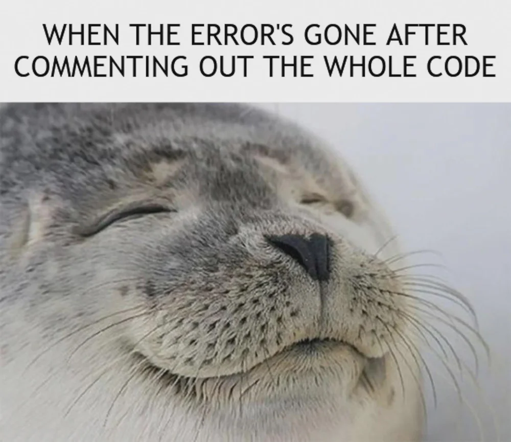 A contented seal beneath the caption: When the error’s gone after commenting out the whole code.