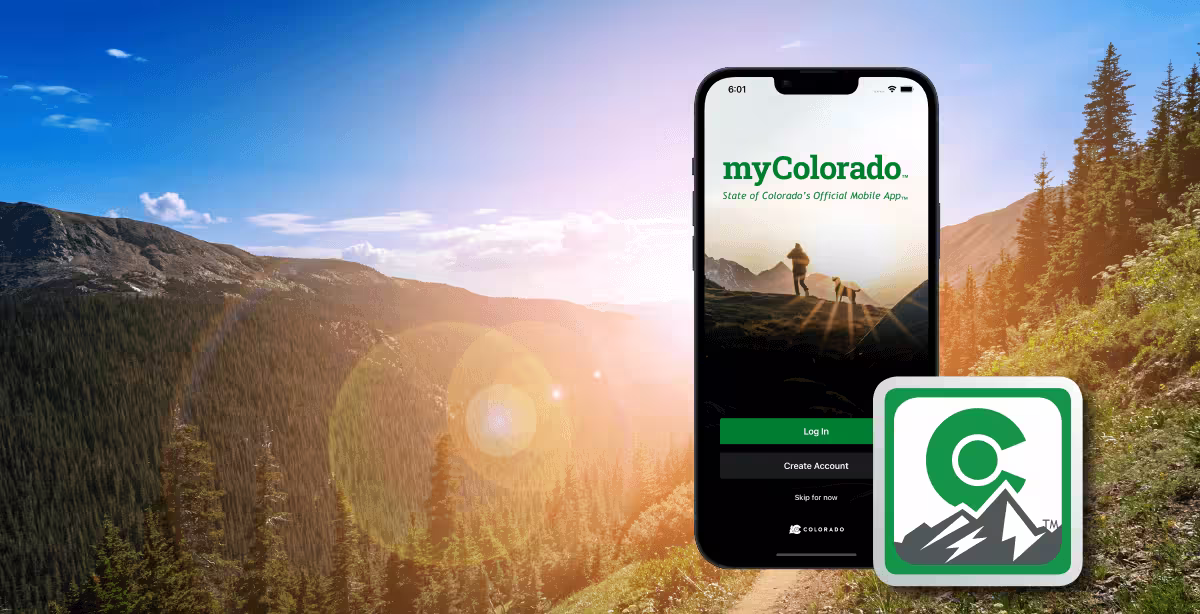 Nelnet Government Services ofrece una aplicación móvil accesible y fácil de usar para todos los residentes de Colorado