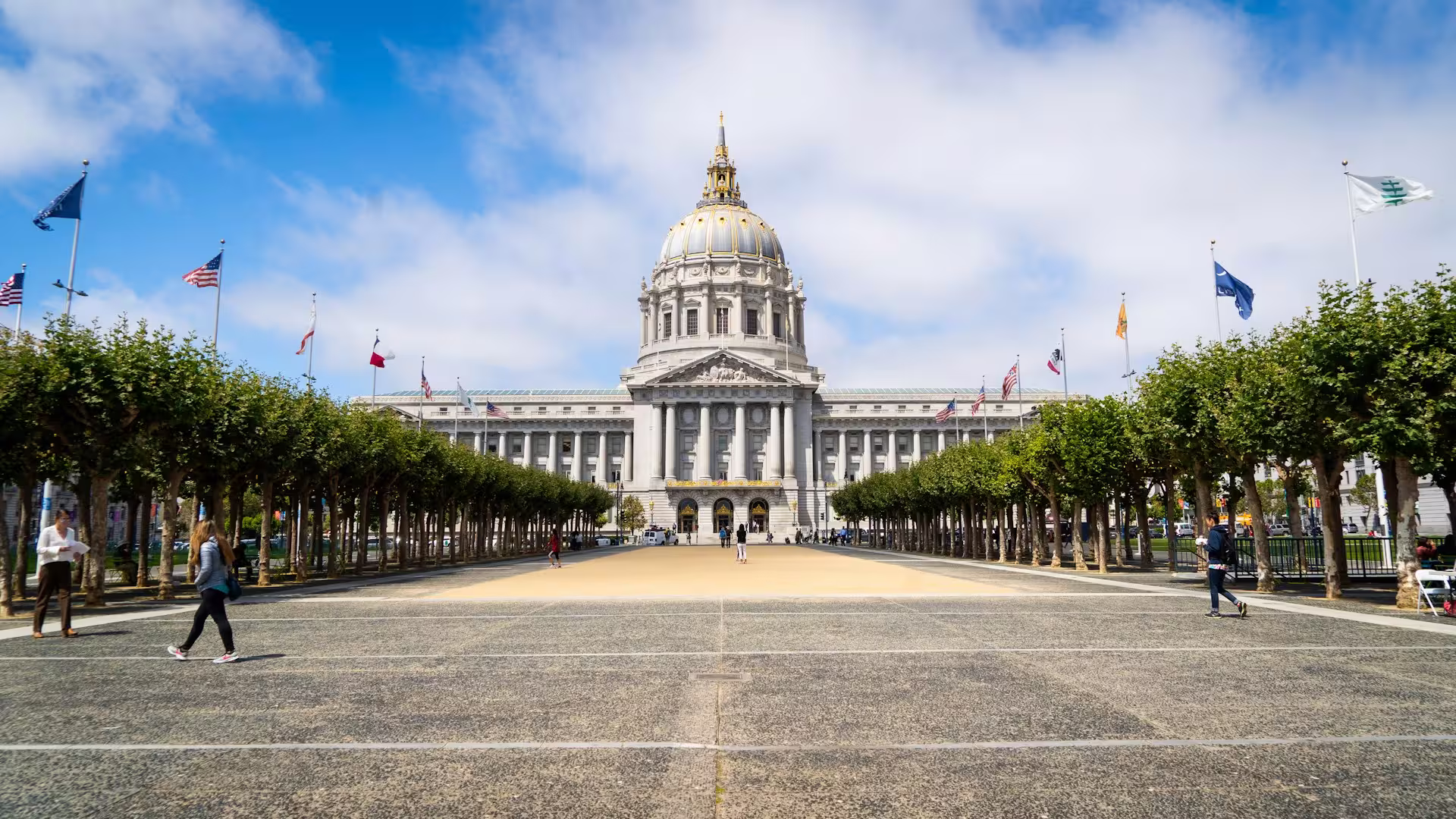 How AI assistants can support public procurement