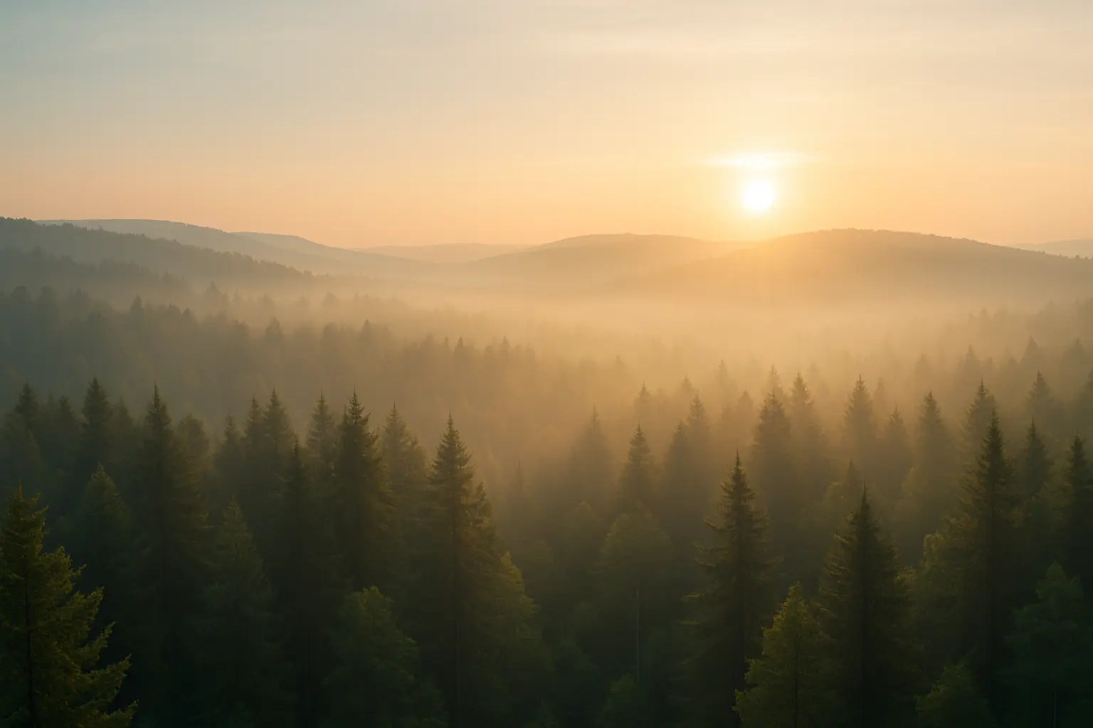 [background image] image of a nature scene (for a green tech/cleantech company)
