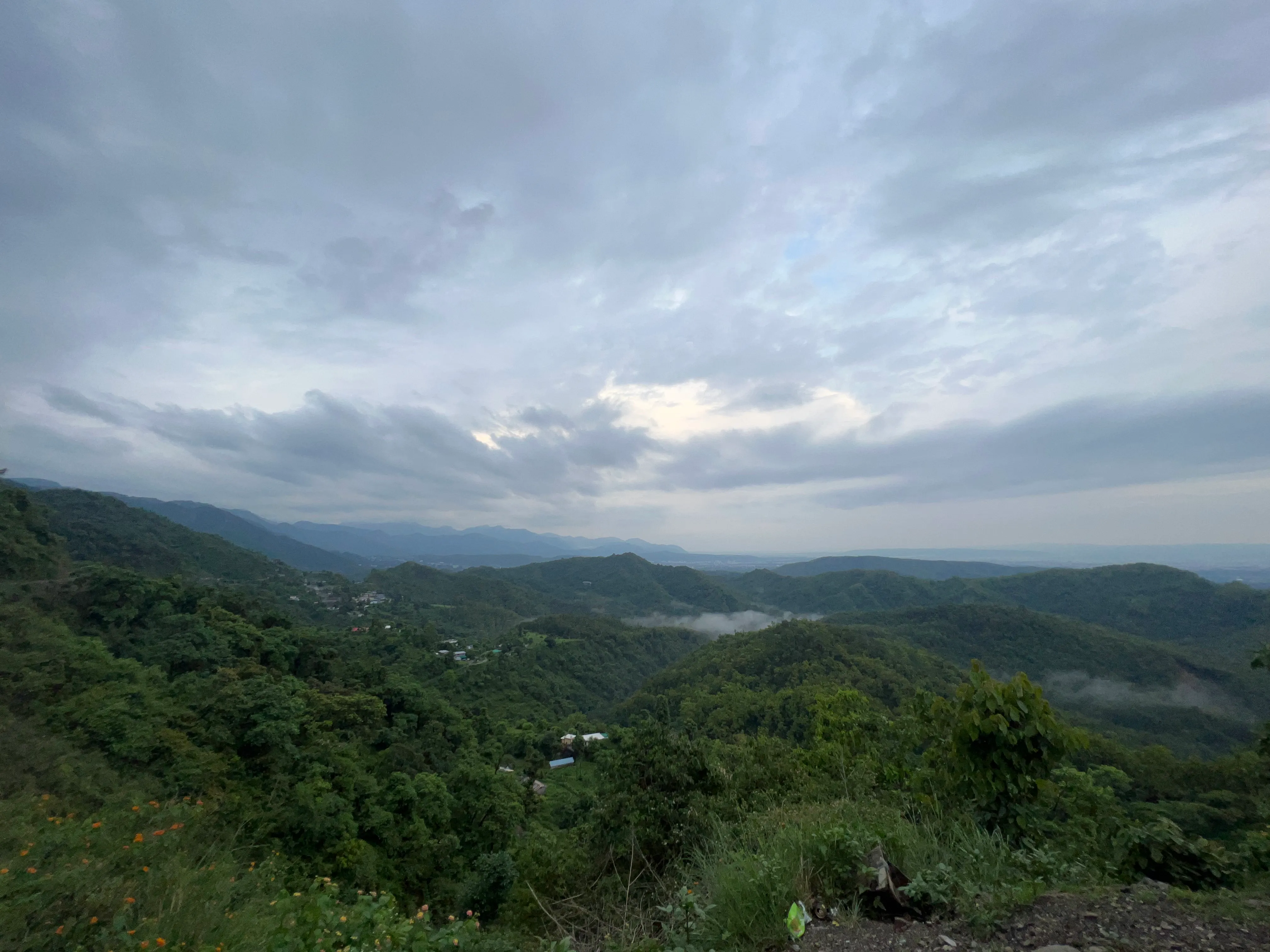 Dehradun Landscape