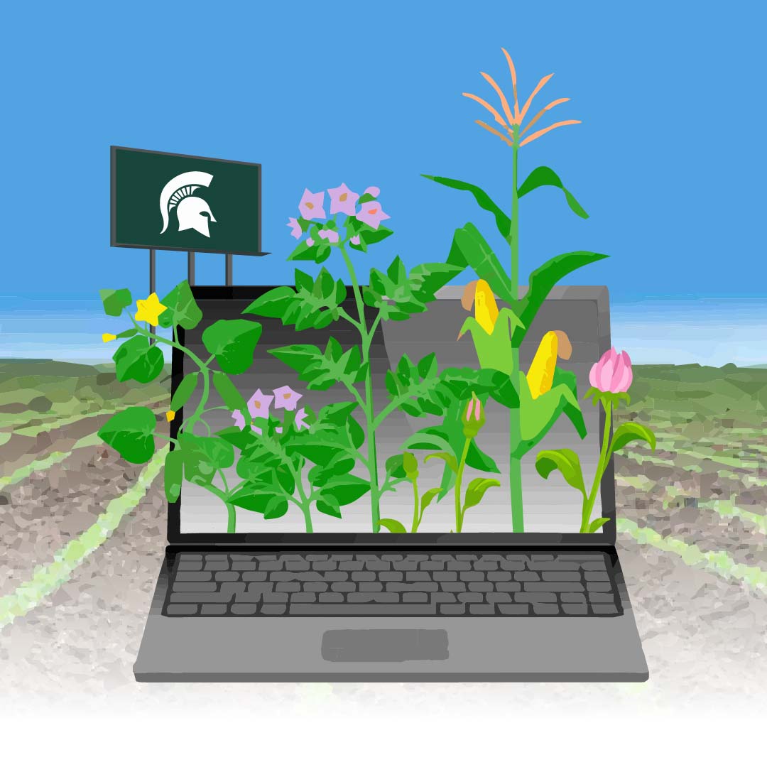 Graphic of plants growing out of a laptop