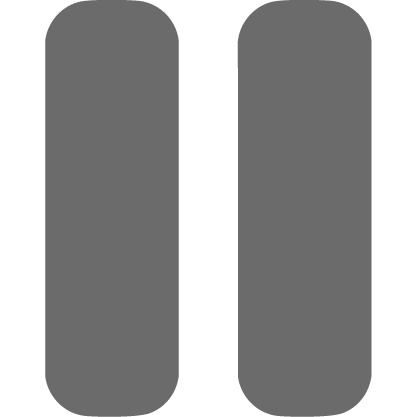 Pause Icon
