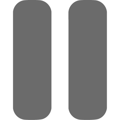 Pause Icon