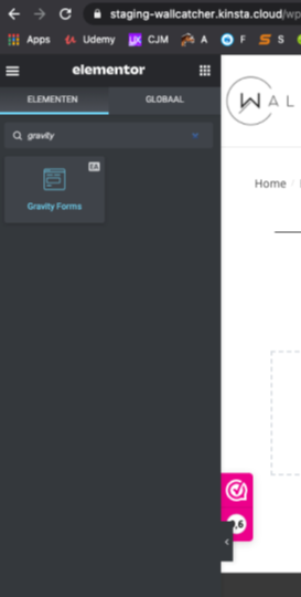 Elementor Gravity Forms