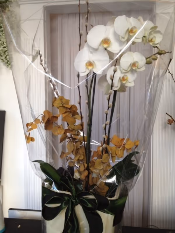 Flower Gifts for Special Occasion