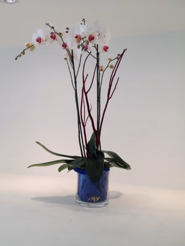 Flower Gifts for Men