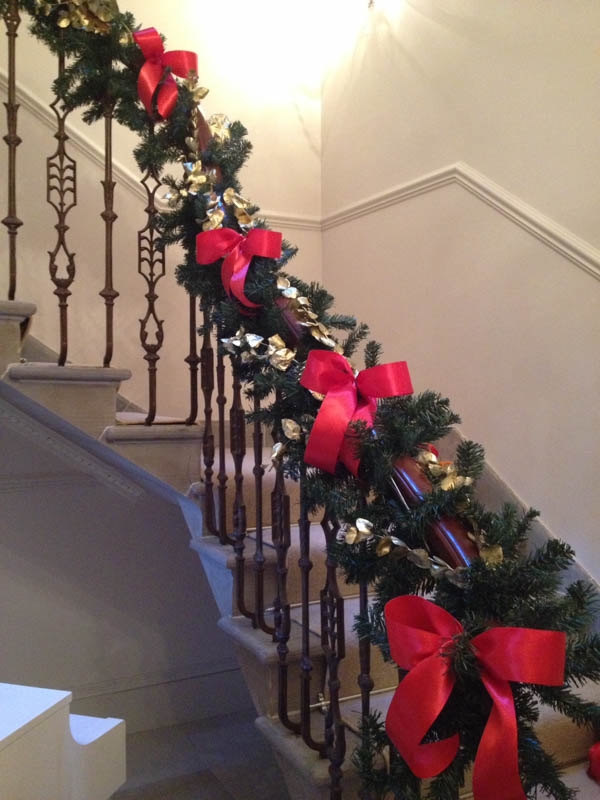 Decorative Christmas Flowers Edinburgh Stems  