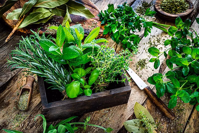 Culinary Herbs with Health Benefits