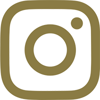 Instagram Icon