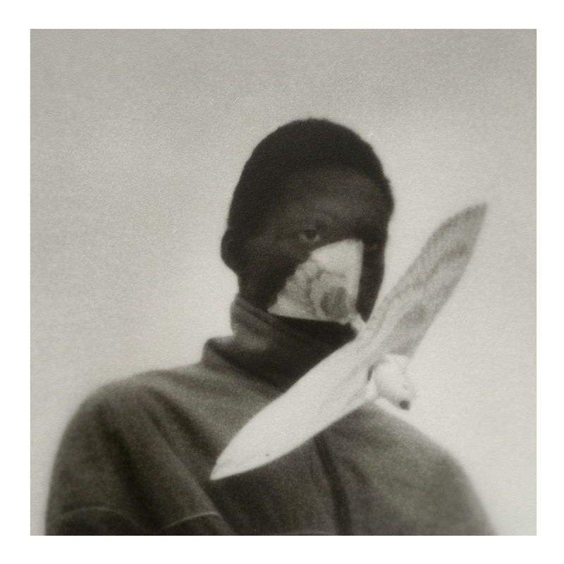 Dove photo by Matt Mahurin