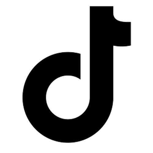 Tiktok icon