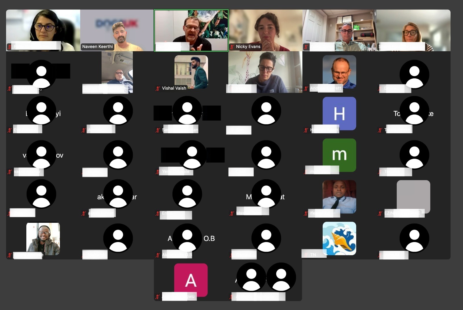 Screenshot of Doc2Canada weekly online workshop about moving to Canada and working as a doctor, showing presentation slides and participants.