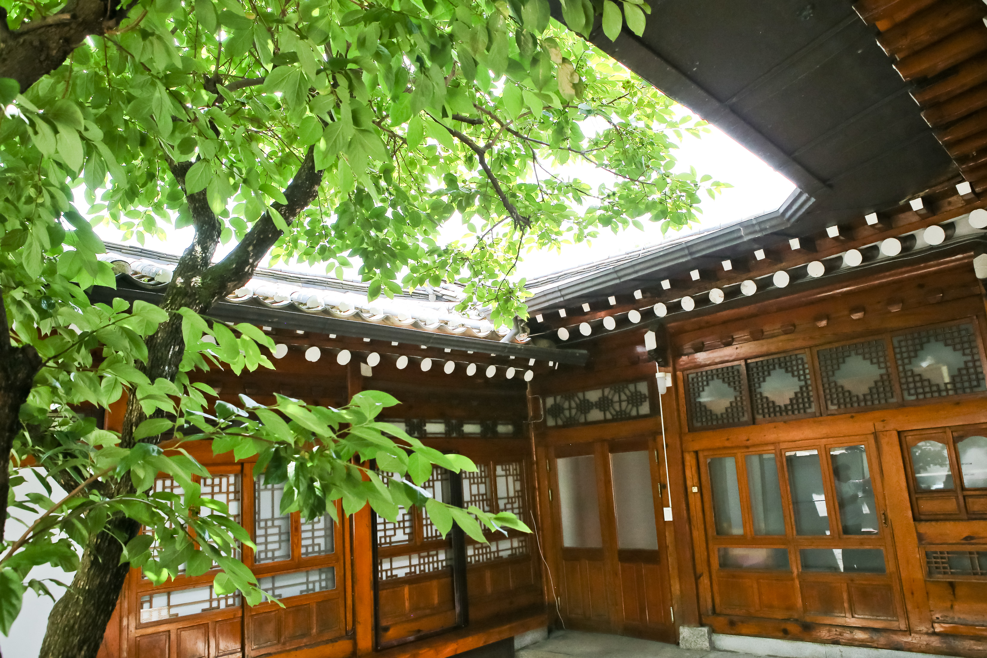 온세나래