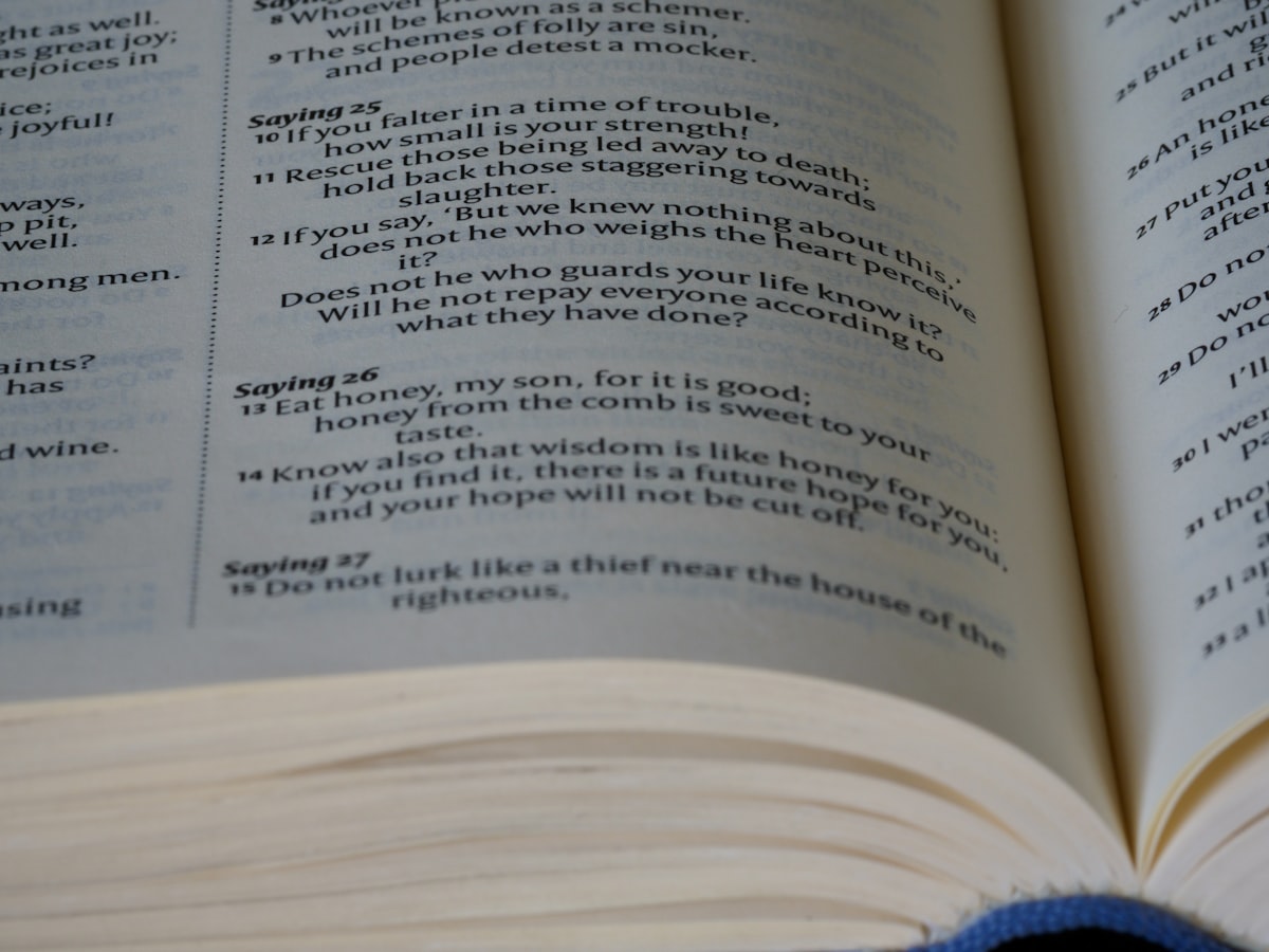 Reading Textbooks Faster with AI Summarization