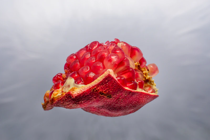 Building Raspberry Pi Projects with AI Support