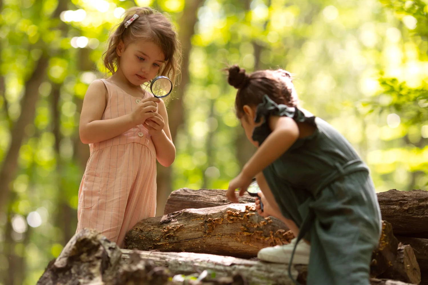 Kids in the jungle