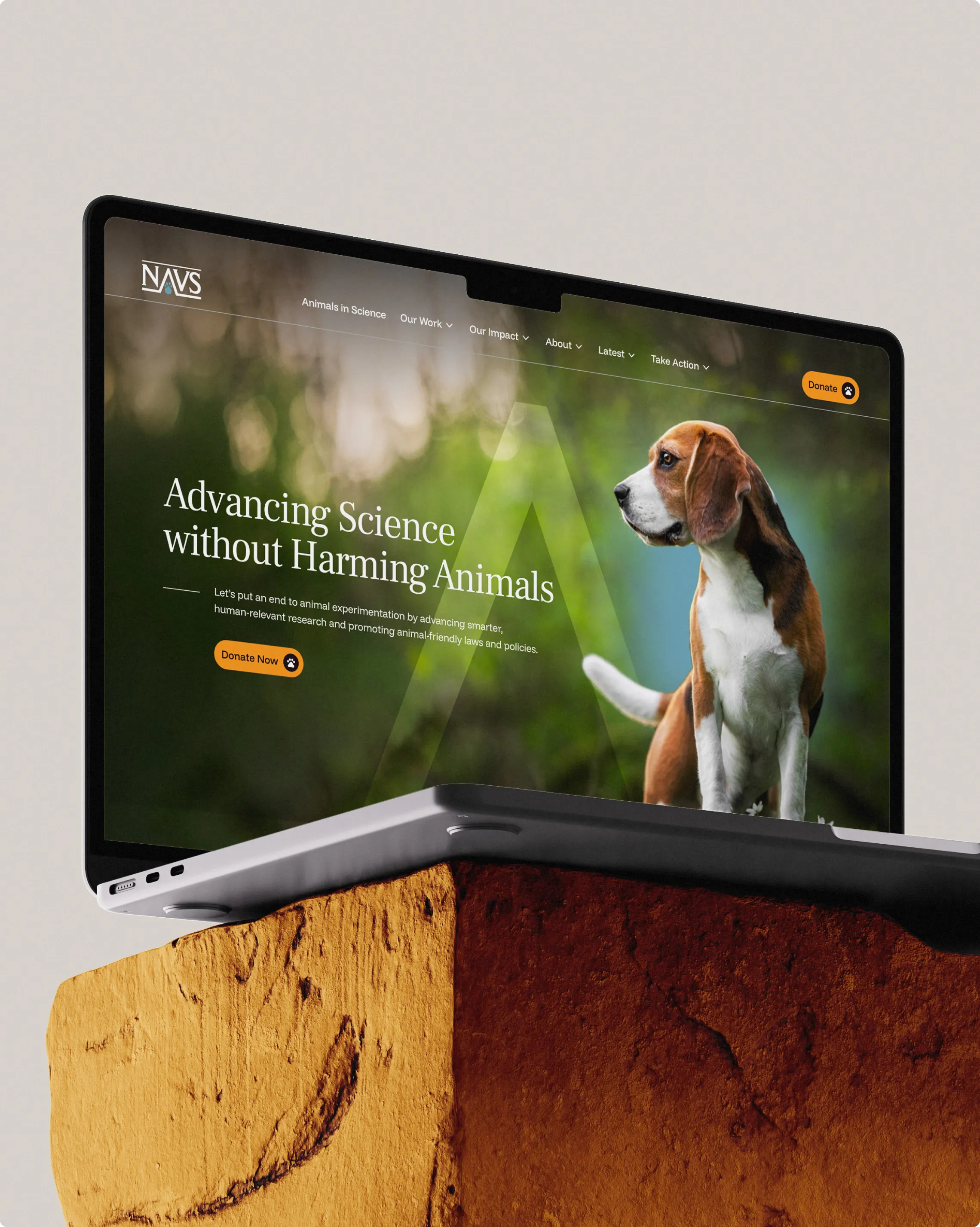 Laptop screen showing the home hero of the National Anti-Vivisection Society website