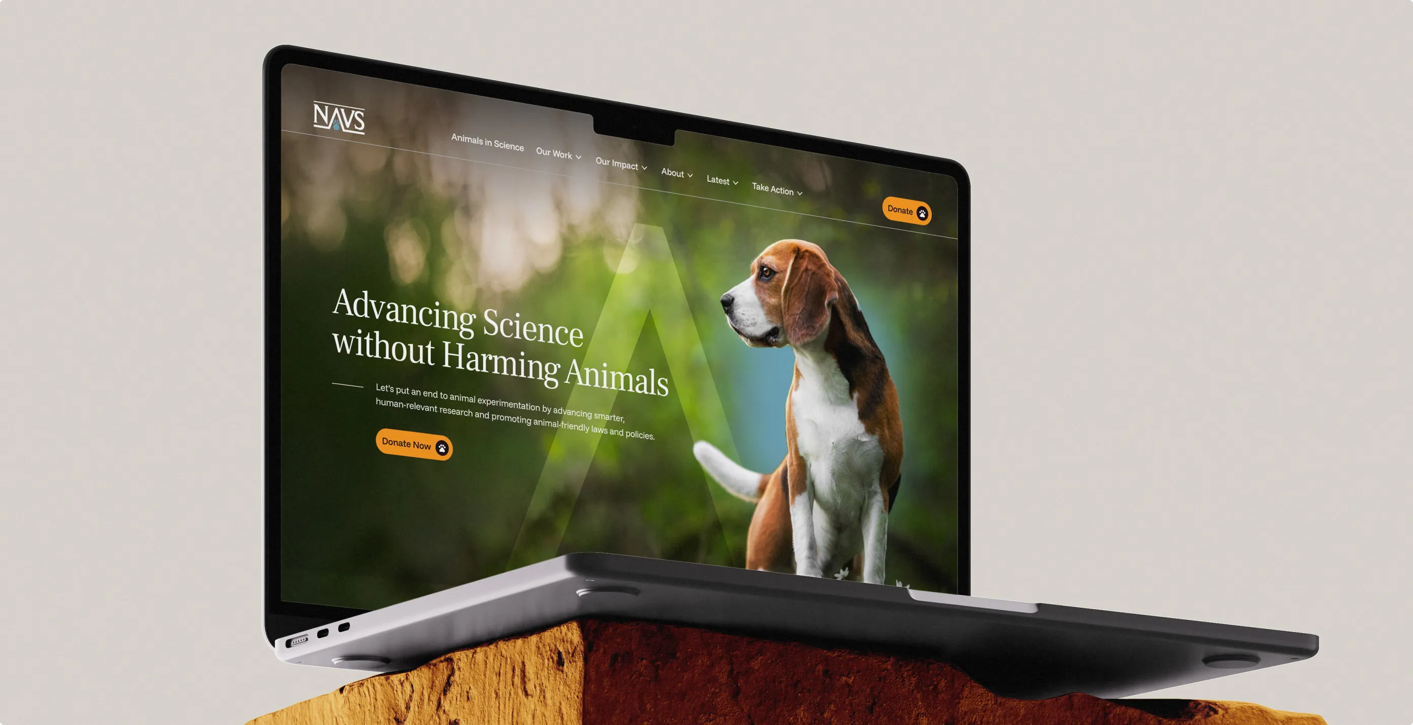 Laptop mockup of the NAVS website