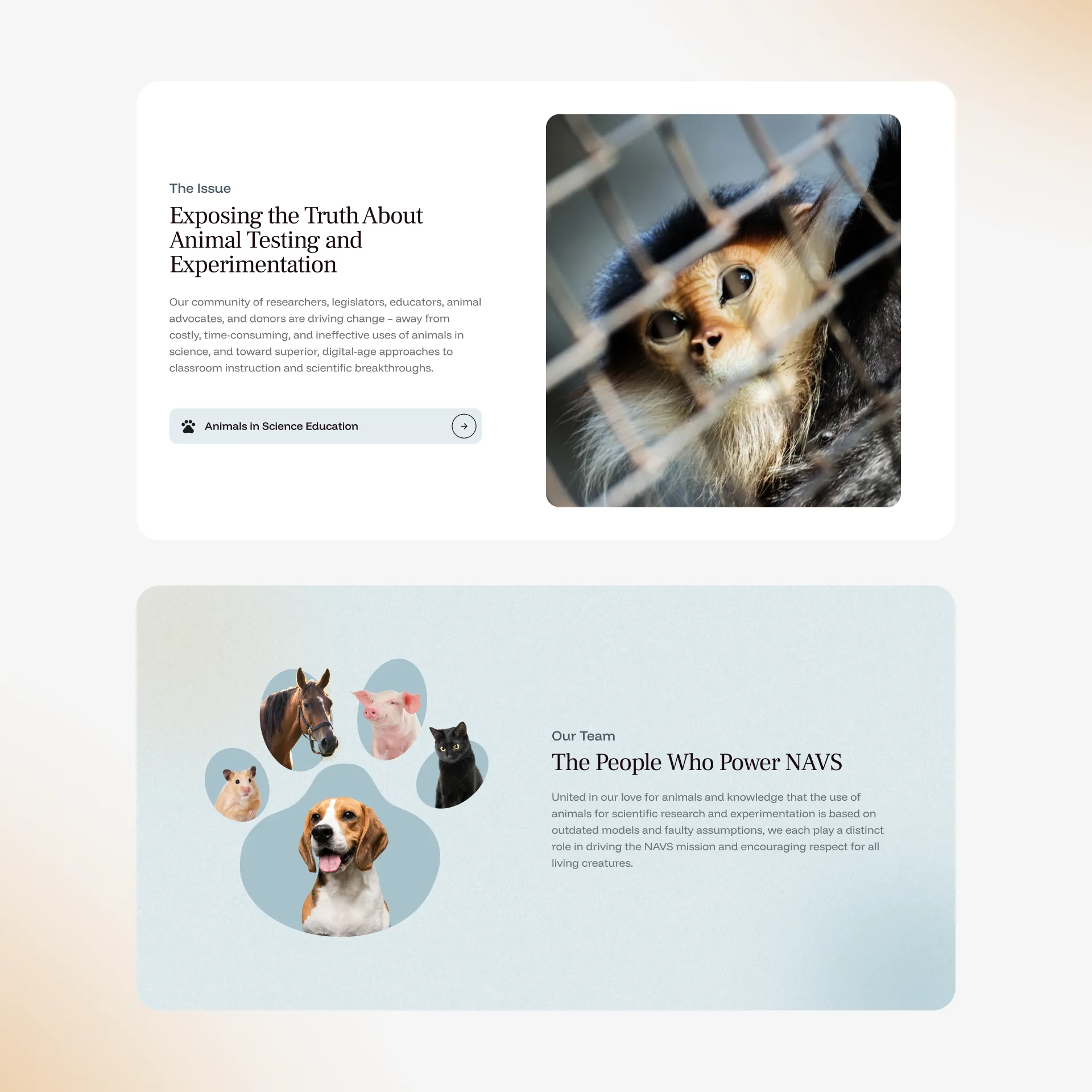 Card sections from NAVS website