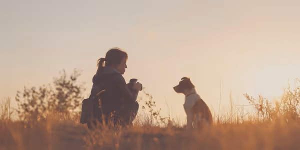 A woman and her dog stand together in a field, silhouetted against a vibrant sunset sky.