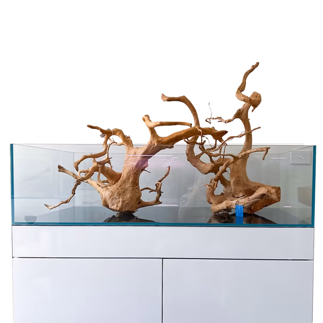 photo-aquarium 1