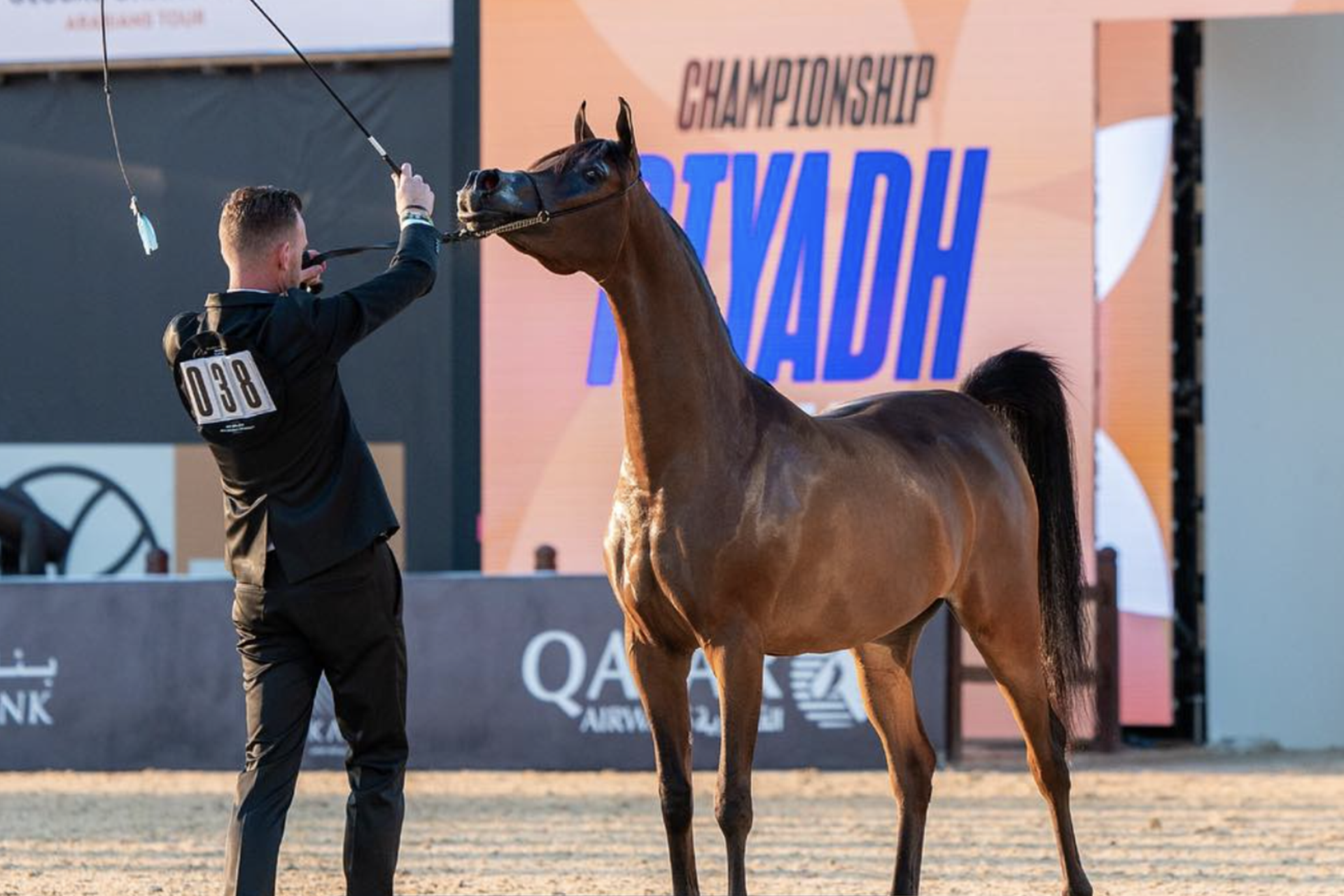 Sandy Al Qaryan
