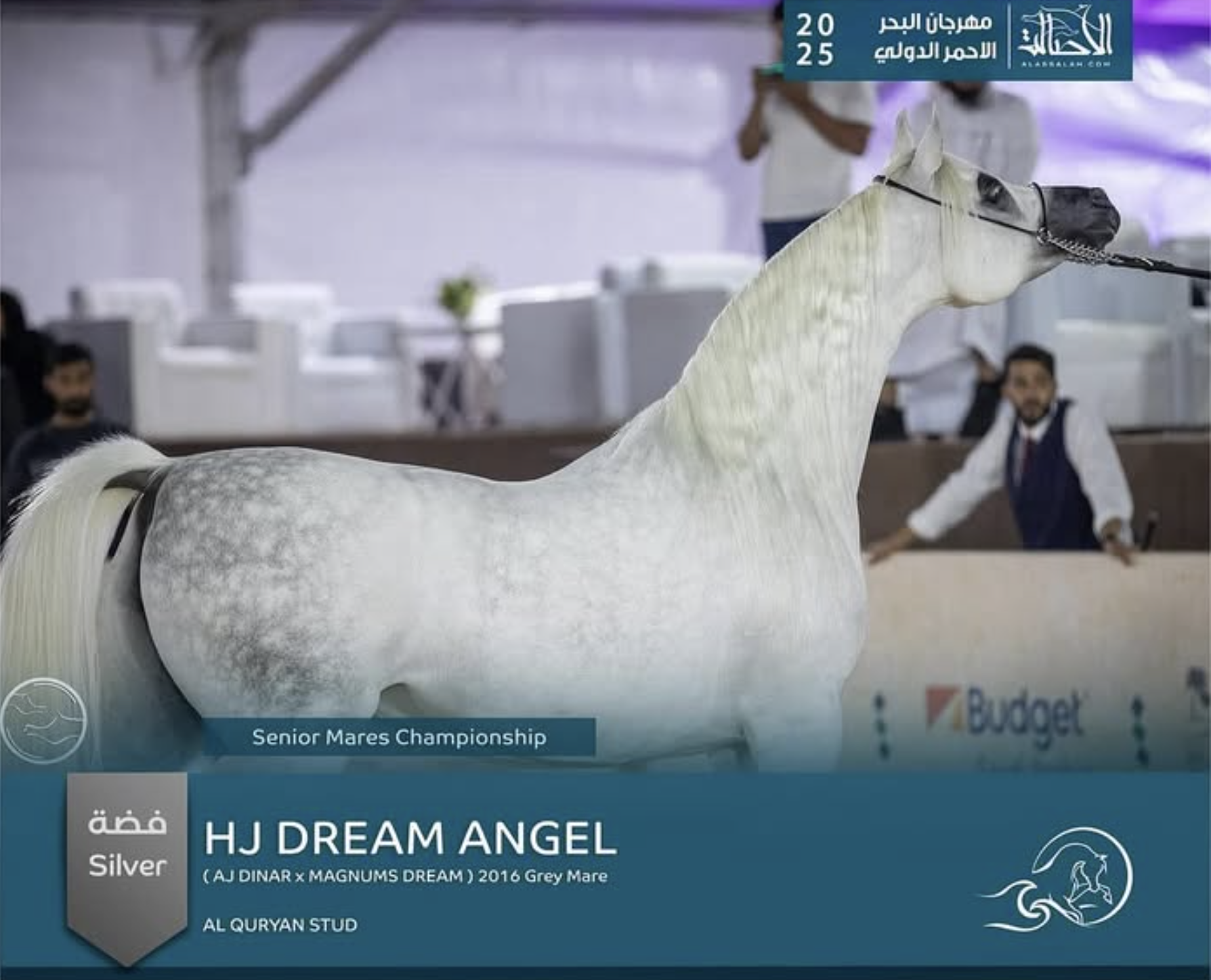 Dream Angel