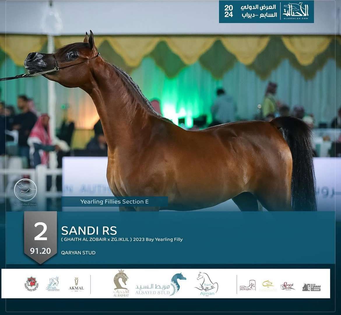 Sandy Al Qaryan