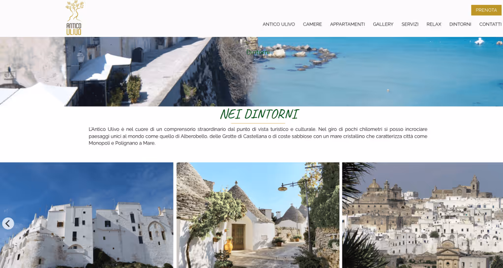 Infografica sulla presenza del motore di prenotazione direttamente sul sito web.