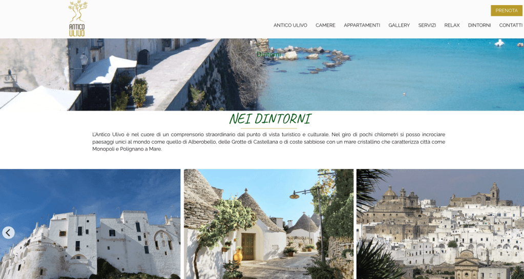 Infografica sulla presenza del motore di prenotazione direttamente sul sito web.