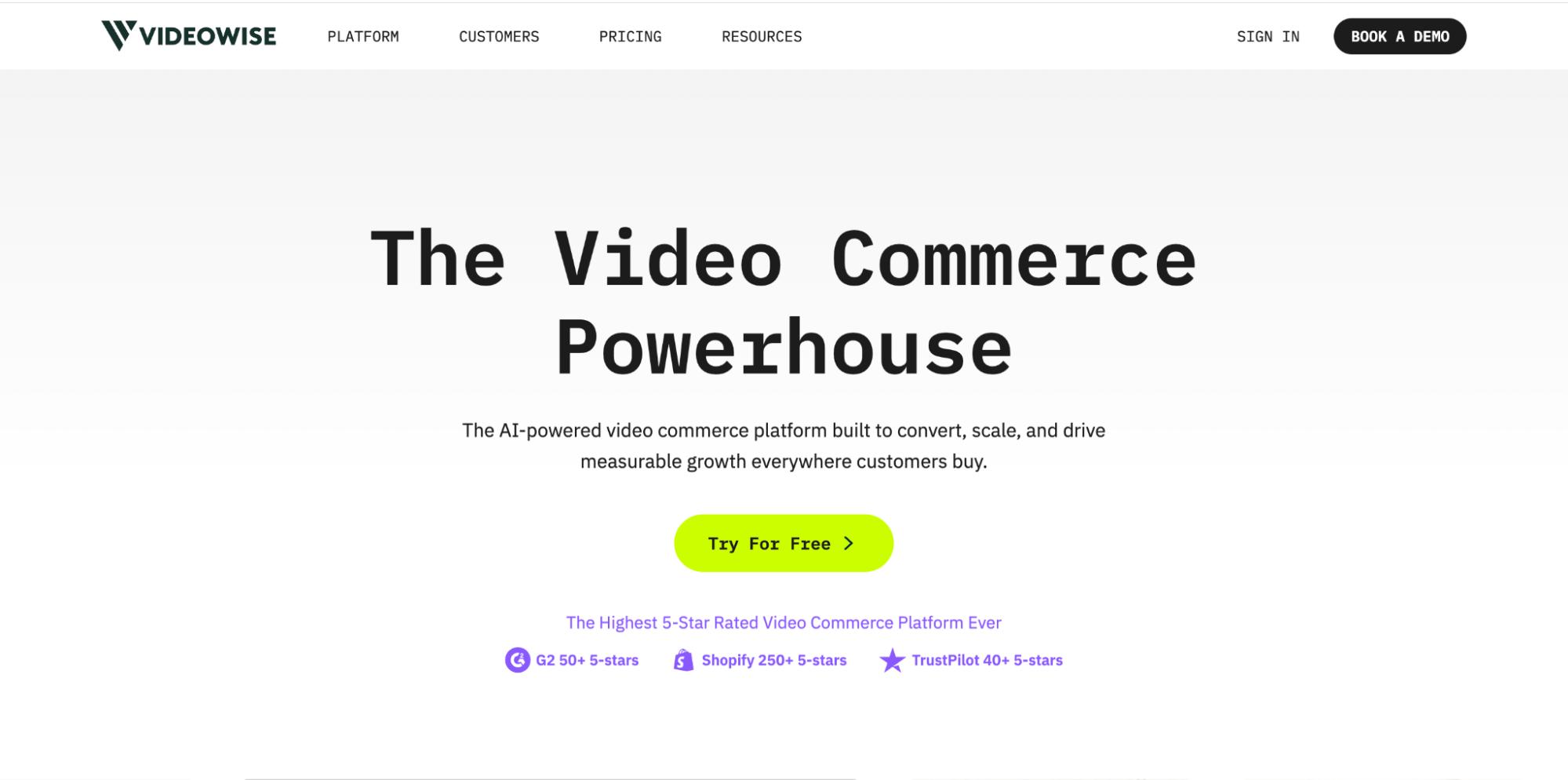 Videowise homepage with headline “The Video Commerce Powerhouse,” describing an AI-powered platform and a “Try For Free” button.