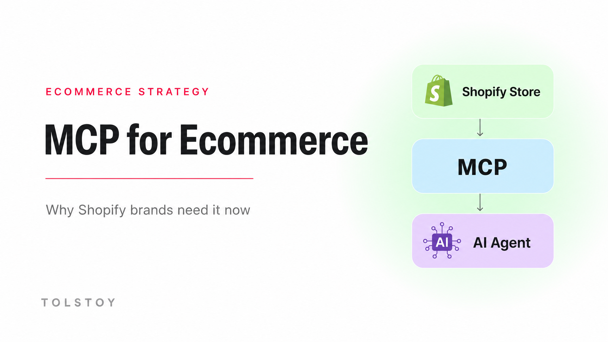 MCP-connected ecommerce tools for Shopify brands