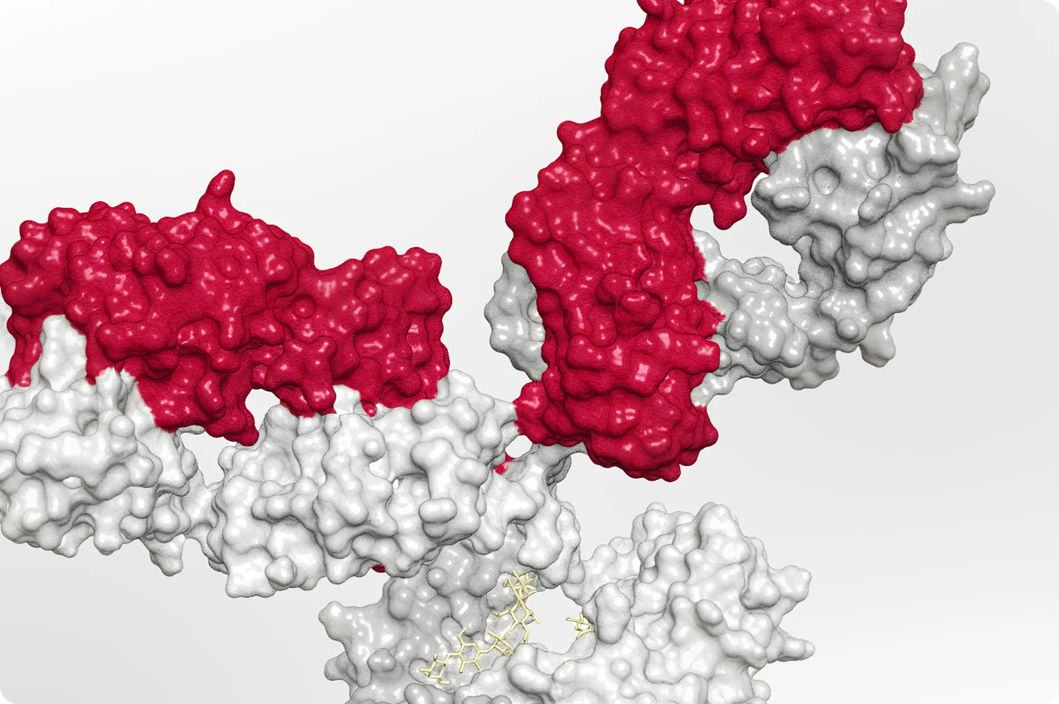 A group of red and white balls in the shape of DNA.